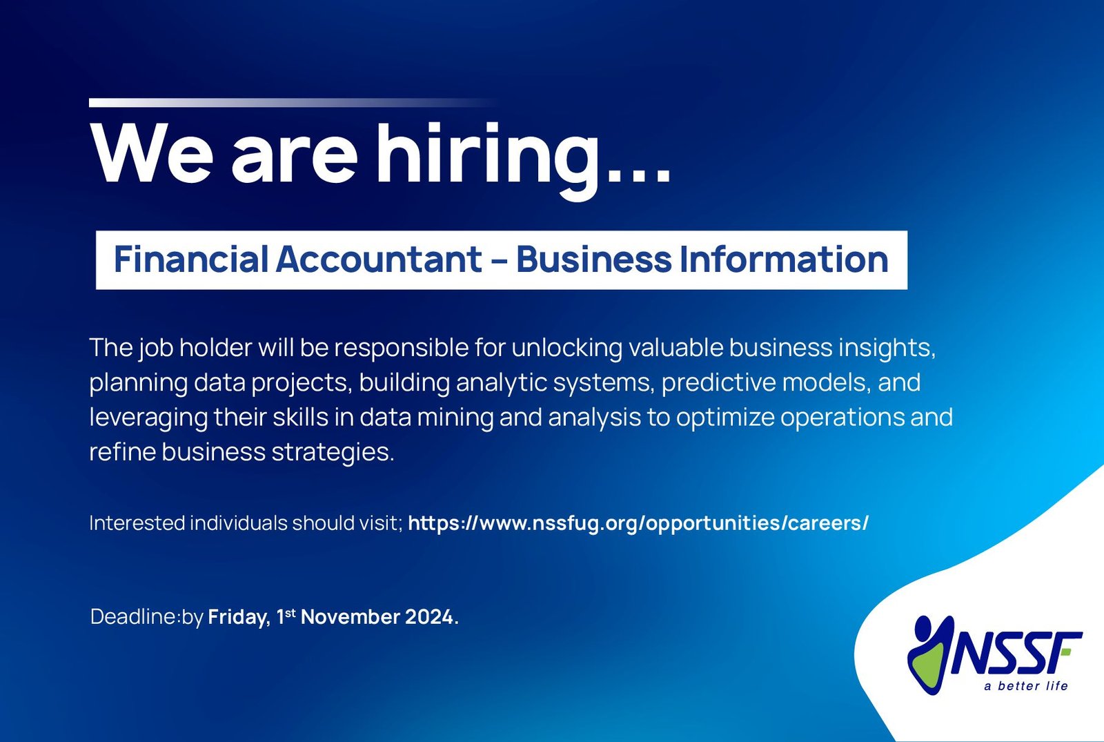 Financial AccountantBusiness Information at National Social Security