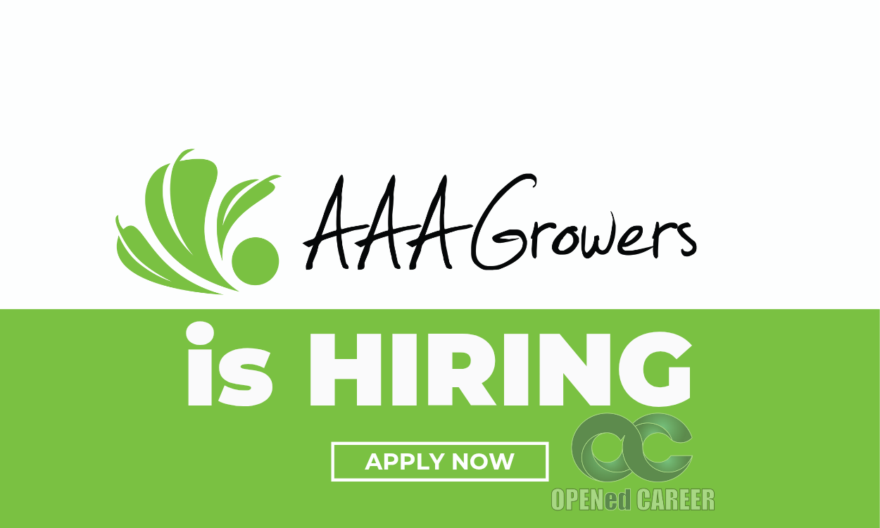 Opened Career Post