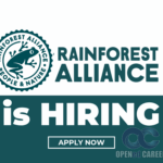 Rainforest Opened career