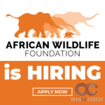 african wildlife Opened career