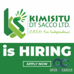Kimisitu Sacco Opened career