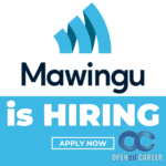 Mawingu Opened career