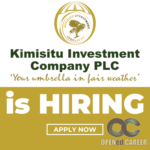 Kimisitu Investment Opened career