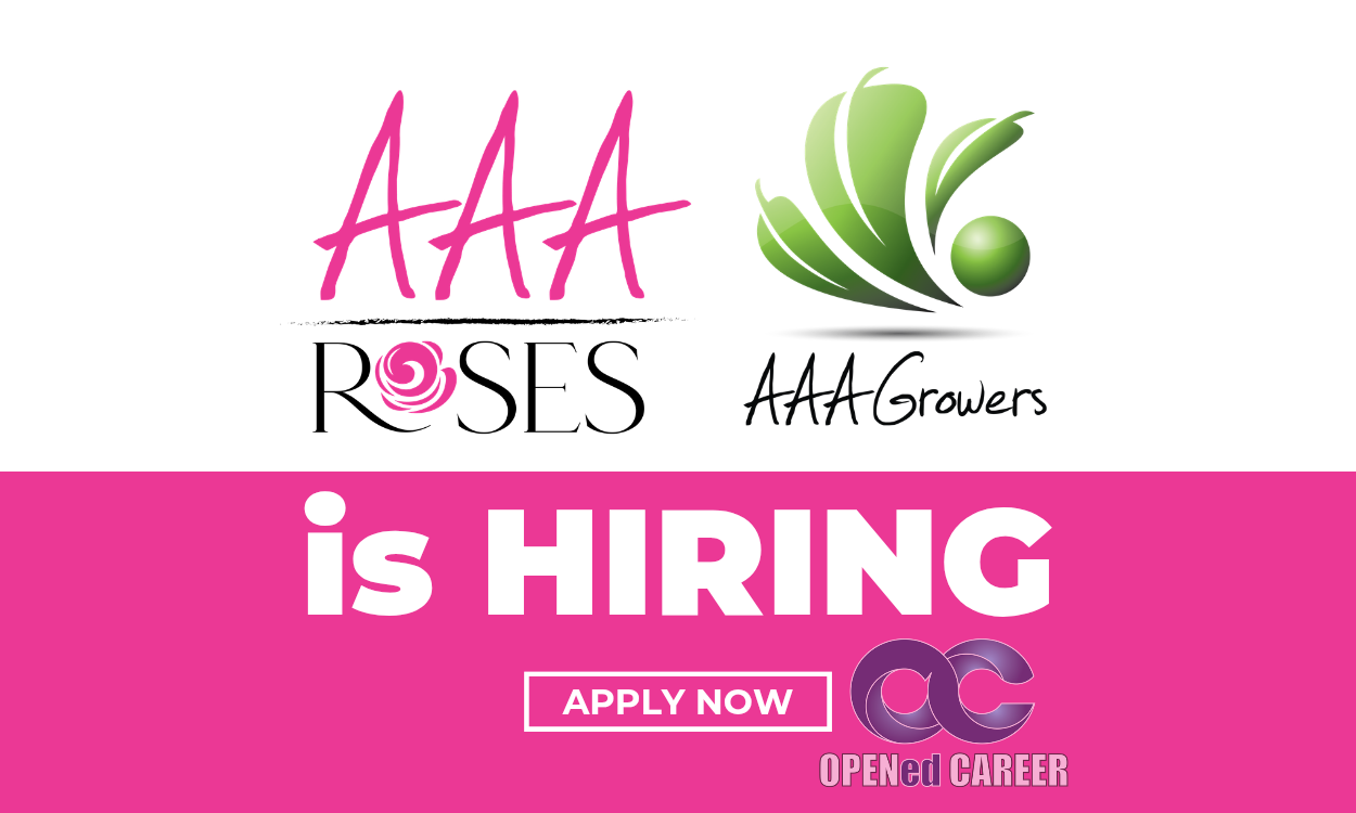 Opportunities Meet Aspirations