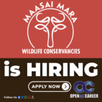 Opened careerMaasai Mara Wildlife Conservancies