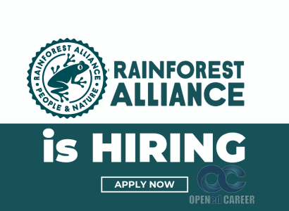 Rainforest Opened career Rainforest Opened career